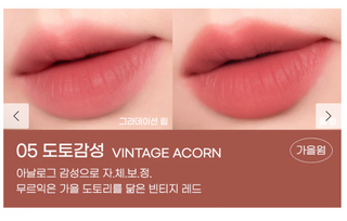 PERIPERA OVER BLUR TINT 005 VINTAGE ACORN